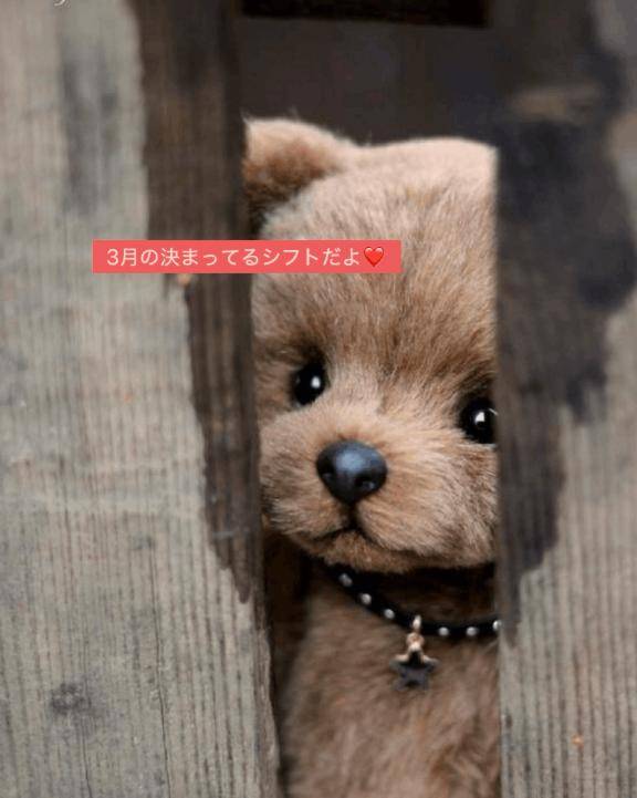 ３月の決まった出勤?