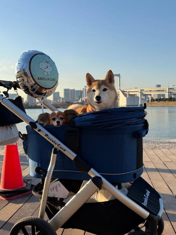 お礼