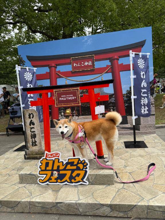 お礼