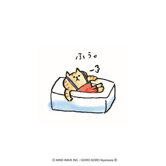 今日なのですが…?