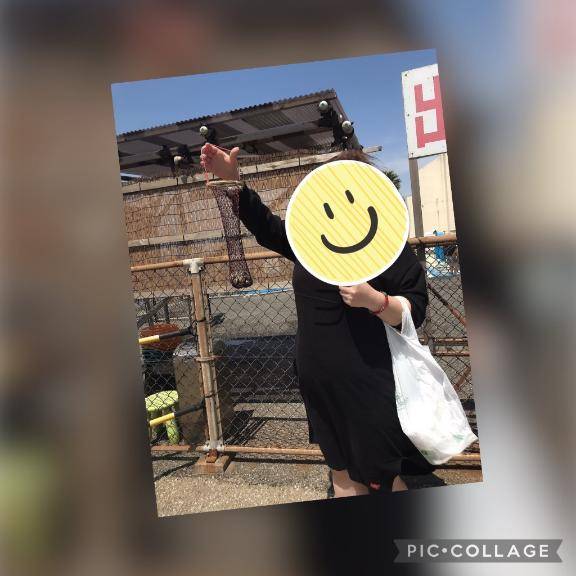 進化している?