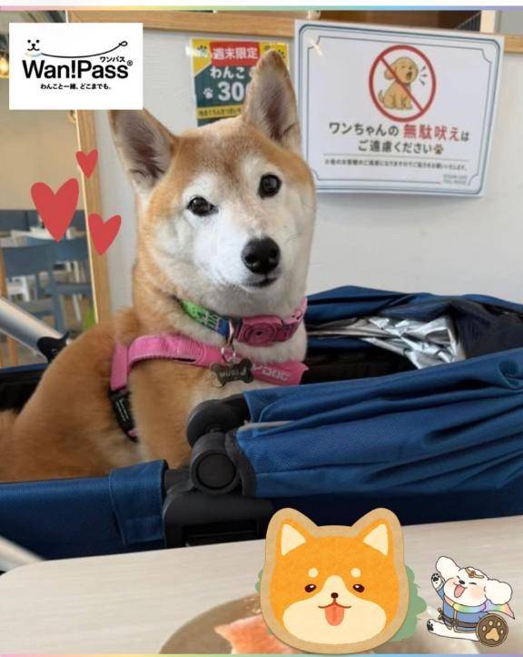 こんばんは
