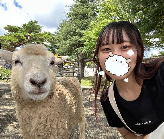 お休み期間🐑