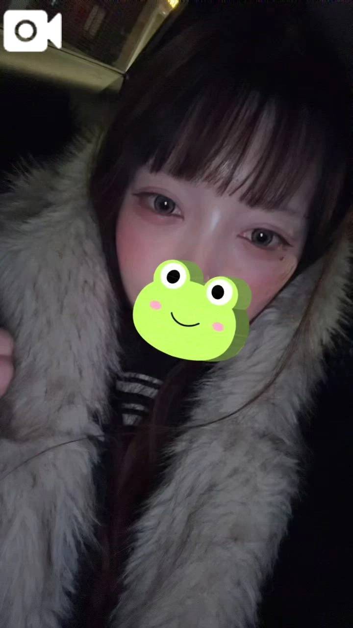 かえるさん🐸