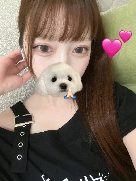 しゅ❣️