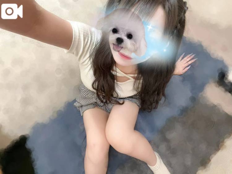 しゅ！してます