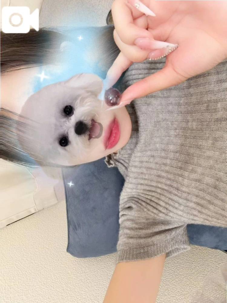 今日も！