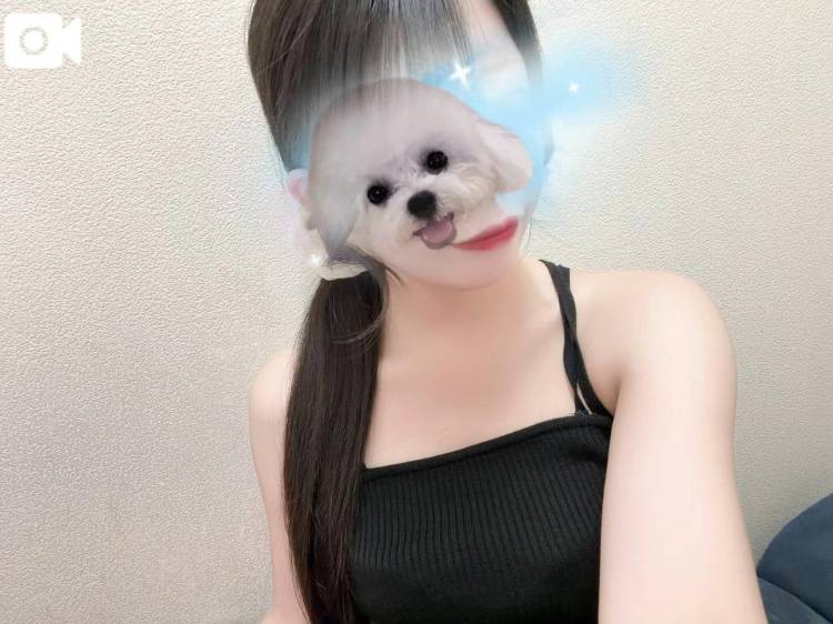 しゅてます！