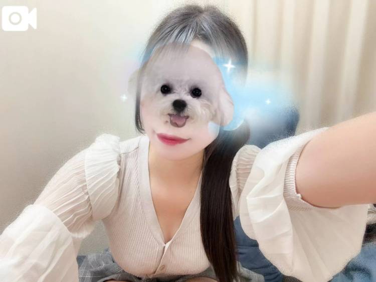 しゅてます！