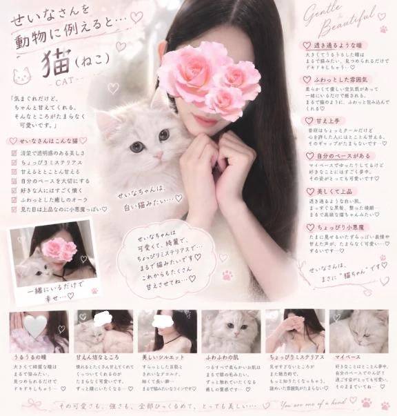 動物診断🐈💞