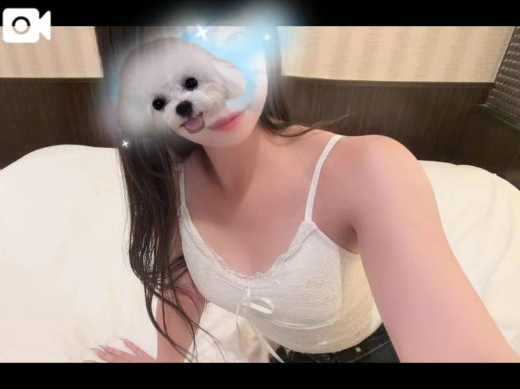 しゅ！てるよ