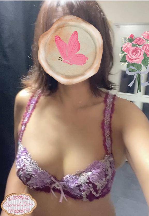 犬派