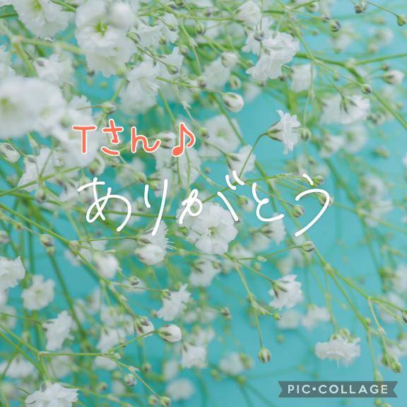 5/29 Tさま