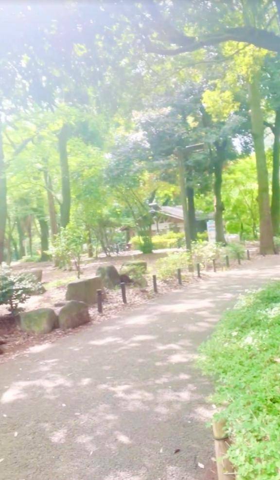 りょうちゃん　お礼日記