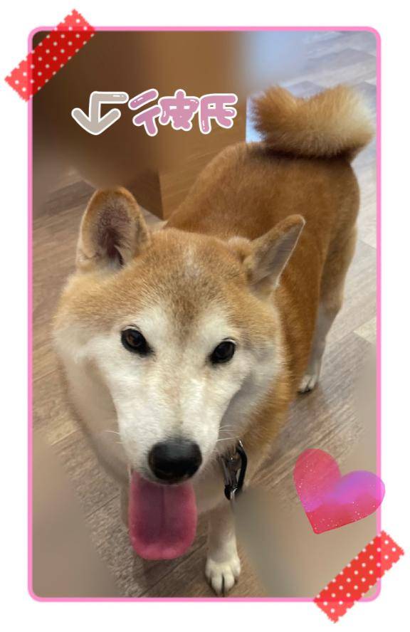 ワンワン?