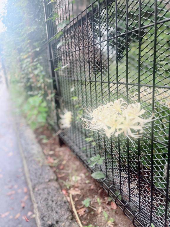 あまりにも興奮して　寝付けなかった