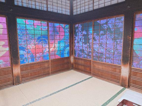 初めての道後温泉?