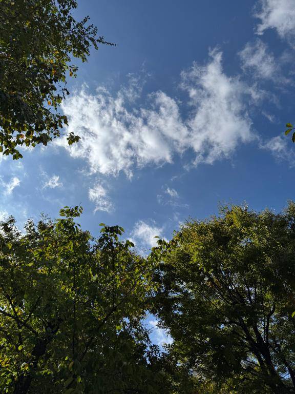 えちえちしたい??