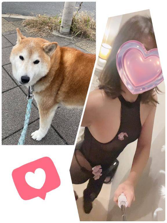 明日は１２時から