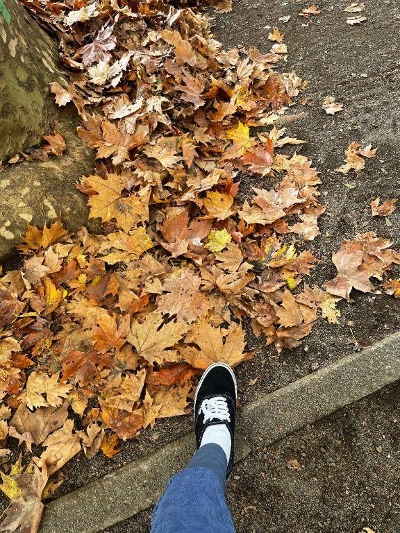 あなたからのいいねは、純粋に嬉しい