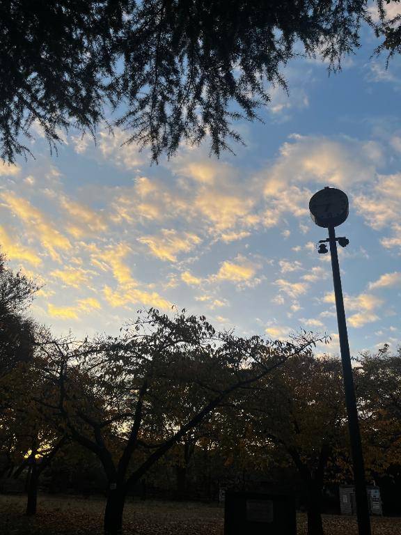 昼から飲んで食べて笑って、19時に寝た女の休日   