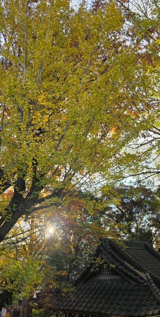 会えなかったぁ?