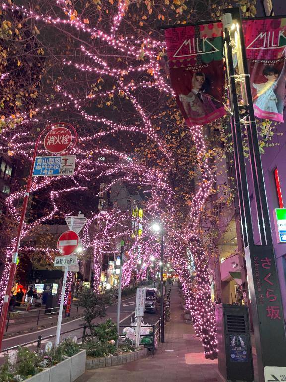 久々でうきうきです