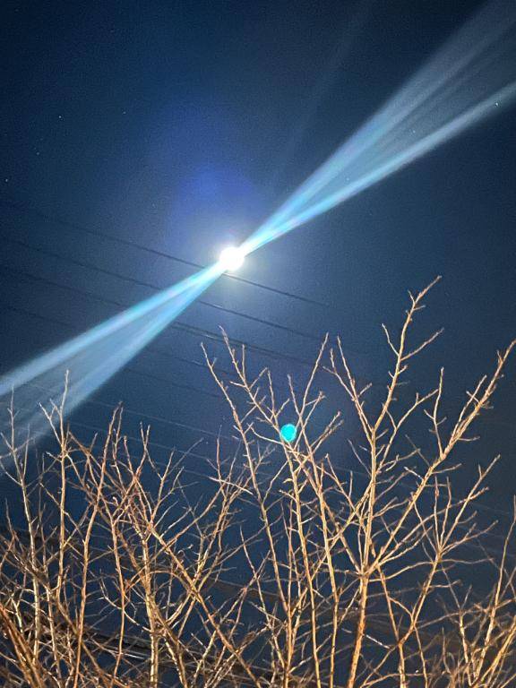 3月までやめません