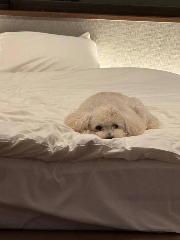 出勤??また絶起(:3[??]