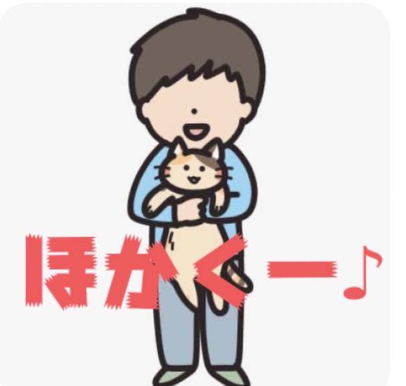 行っちゃうことにした