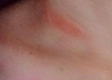 おはようございます?