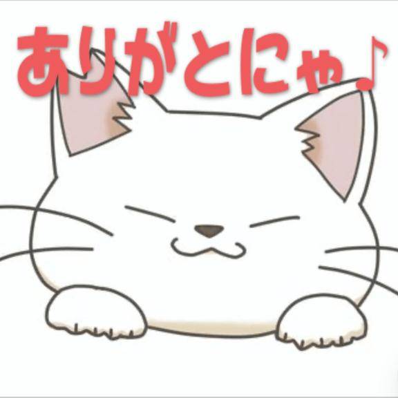 ニャーなお知らせ