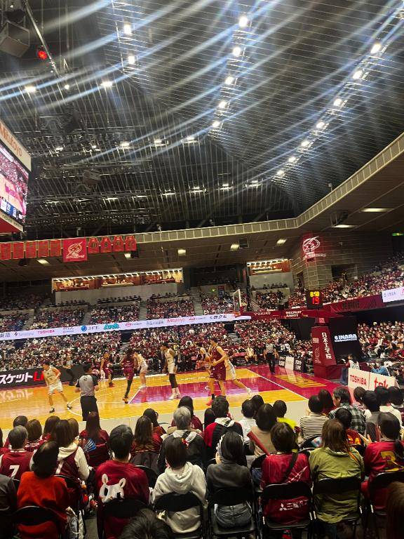 プロフェッショナルのゲーム