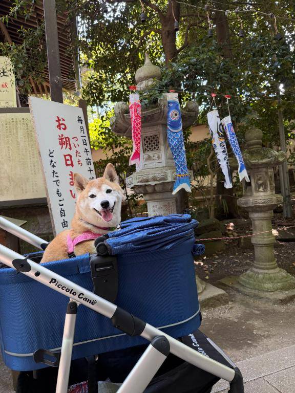 昨日のお礼