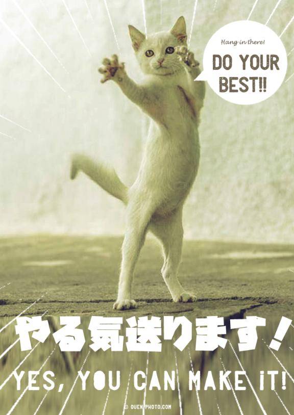 お互い頑張りましょう??
