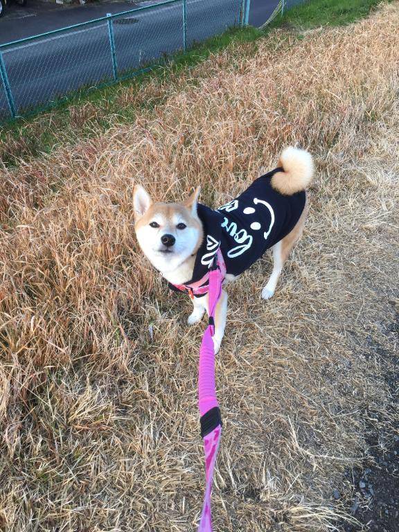 お礼