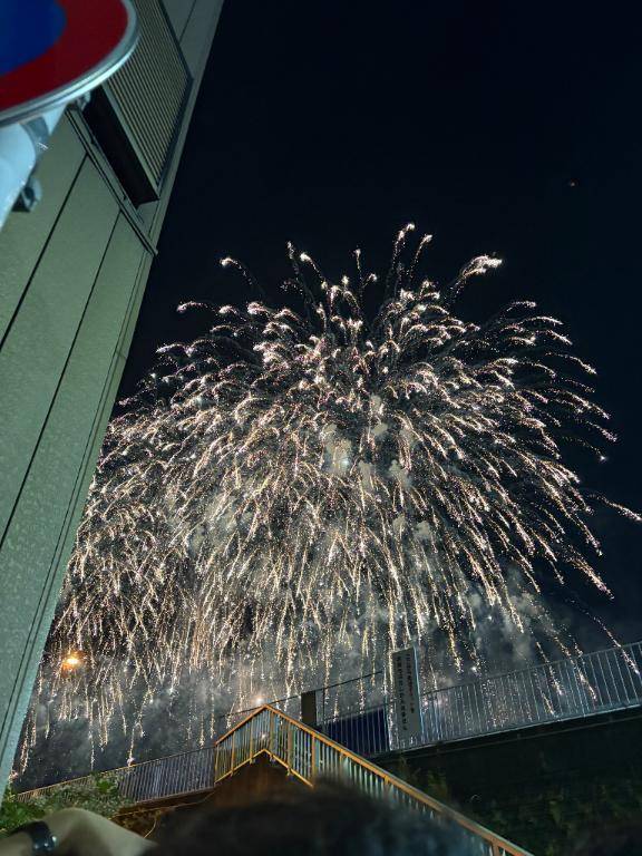 今年は?