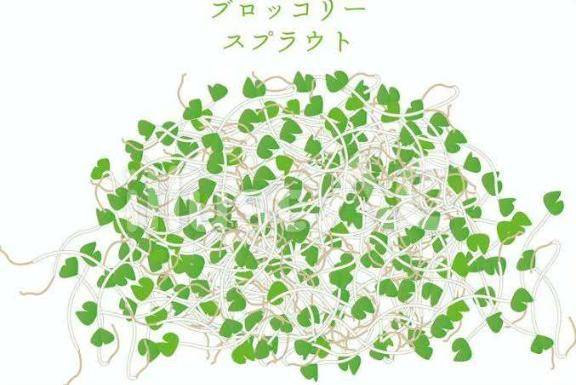 出勤
