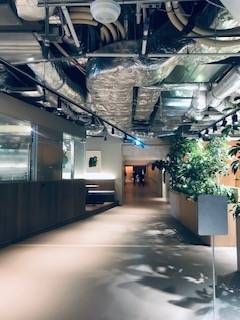 サウナ日記　第285回　高輪ゲートウェイ　SAUNAS