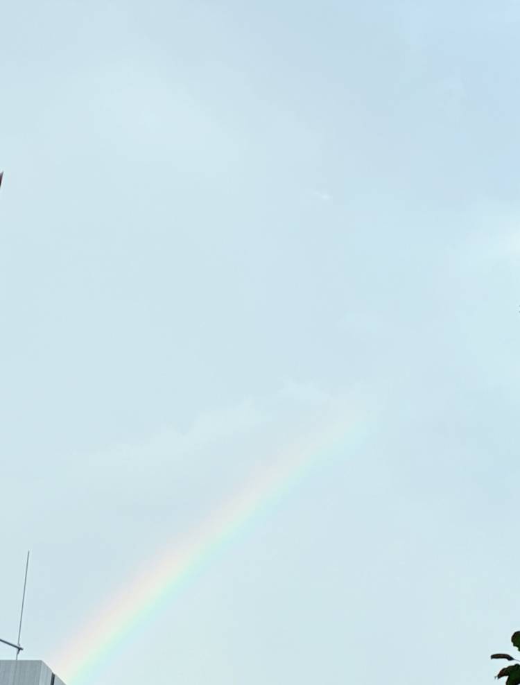 虹🌈だー❣️