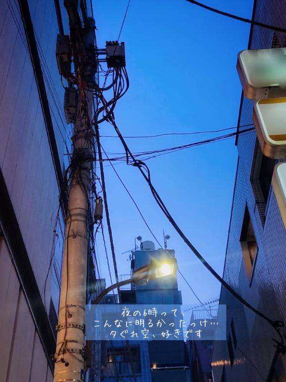 ?たいきんですーっ?