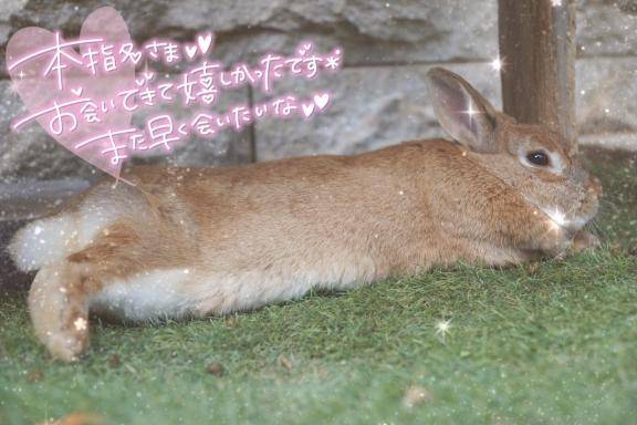 05-08のお礼