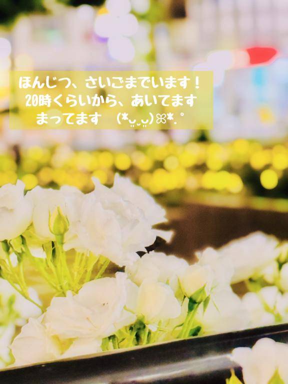 ?ほんじつは！?