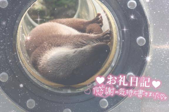 あや（ぽちゃカワイイ！）