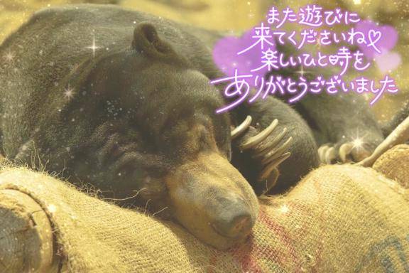 お礼