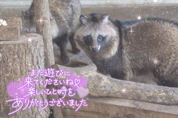 お礼