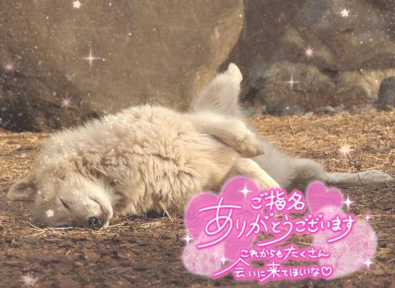 お礼
