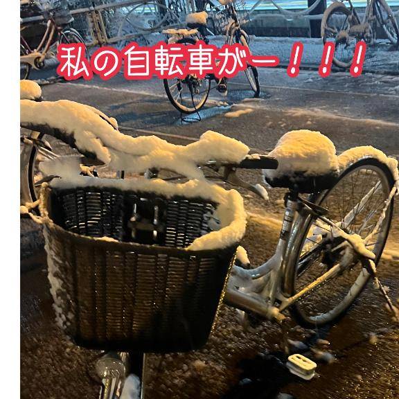 大雪のため5日はお休み?