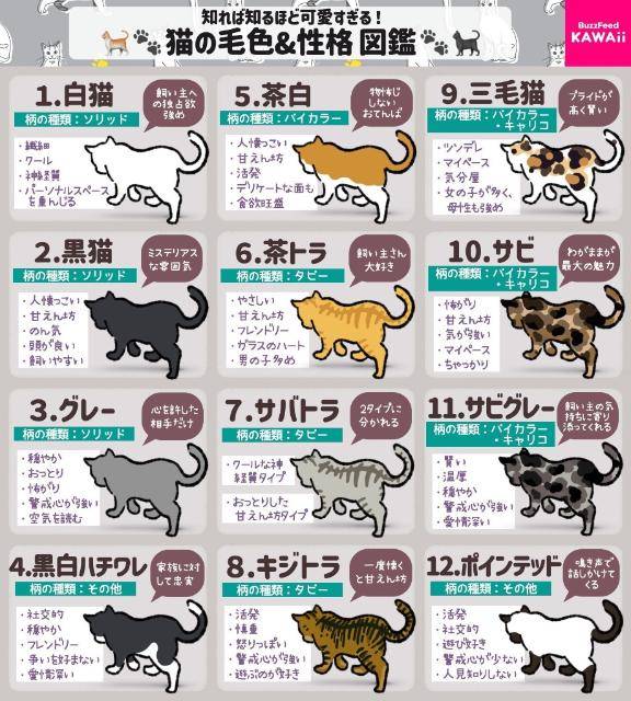 どれがいい？