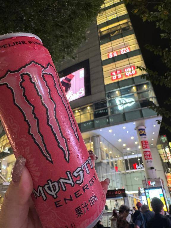 モンスターもらったよ